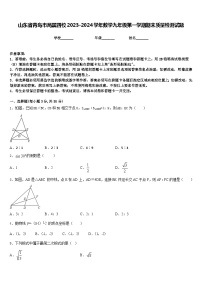 山东省青岛市局属四校2023-2024学年数学九年级第一学期期末质量检测试题含答案