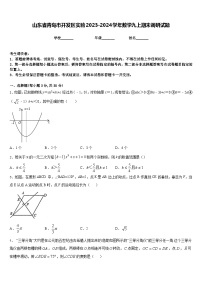 山东省青岛市开发区实验2023-2024学年数学九上期末调研试题含答案