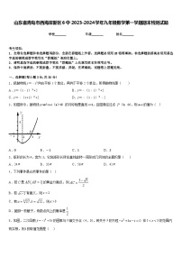 山东省青岛市西海岸新区6中2023-2024学年九年级数学第一学期期末检测试题含答案