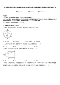 山东省荣成市石岛实验中学2023-2024学年九年级数学第一学期期末综合测试试题含答案