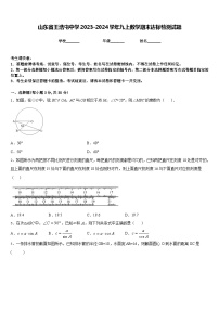 山东省王浩屯中学2023-2024学年九上数学期末达标检测试题含答案