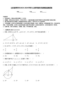 山东省潍坊市2023-2024学年九上数学期末质量跟踪监视试题含答案