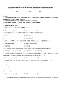 山东省潍坊市寒亭2023-2024学年九年级数学第一学期期末预测试题含答案