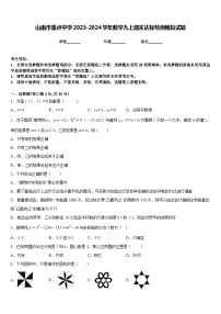 山南市重点中学2023-2024学年数学九上期末达标检测模拟试题含答案