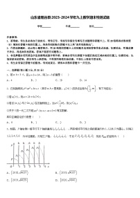 山东省阳谷县2023-2024学年九上数学期末检测试题含答案