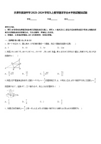 天津市滨湖中学2023-2024学年九上数学期末学业水平测试模拟试题含答案