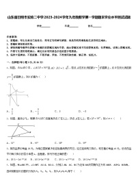 山东省日照市实验二中学2023-2024学年九年级数学第一学期期末学业水平测试试题含答案