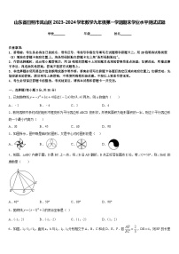 山东省日照市岚山区2023-2024学年数学九年级第一学期期末学业水平测试试题含答案