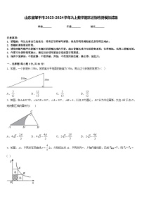 山东省邹平市2023-2024学年九上数学期末达标检测模拟试题含答案