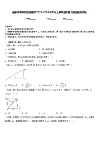 山东省邹平县实验中学2023-2024学年九上数学期末复习检测模拟试题含答案