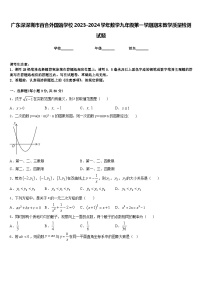 广东深深圳市百合外国语学校2023-2024学年数学九年级第一学期期末教学质量检测试题含答案