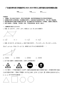 广东省东莞市虎门外国语学校2023-2024学年九上数学期末达标检测模拟试题含答案