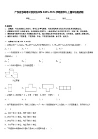 广东省东莞市长安实验中学2023-2024学年数学九上期末检测试题含答案