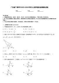 广东省广州中学2023-2024学年九上数学期末监测模拟试题含答案