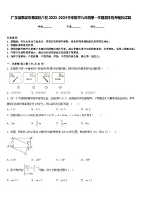 广东省惠城市惠城区八校2023-2024学年数学九年级第一学期期末统考模拟试题含答案