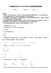 广东省佛山市名校2023-2024学年九上数学期末监测模拟试题含答案