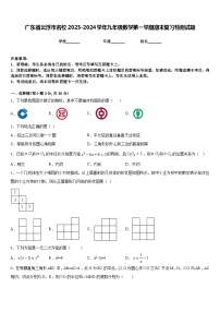 广东省云浮市名校2023-2024学年九年级数学第一学期期末复习检测试题含答案