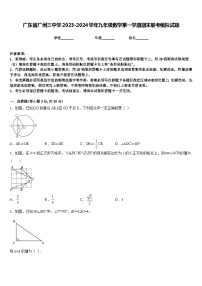 广东省广州三中学2023-2024学年九年级数学第一学期期末联考模拟试题含答案