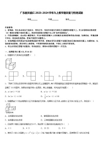 广东韶关曲江2023-2024学年九上数学期末复习检测试题含答案