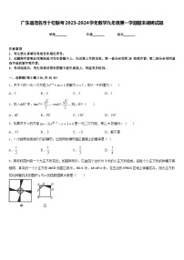 广东省茂名市十校联考2023-2024学年数学九年级第一学期期末调研试题含答案