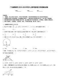 广东省梅州市2023-2024学年九上数学期末复习检测模拟试题含答案