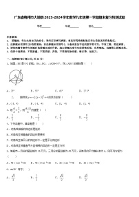 广东省梅州市大埔县2023-2024学年数学九年级第一学期期末复习检测试题含答案