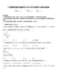 广东省梅州市梅江区伯聪学校2023-2024学年数学九上期末检测试题含答案