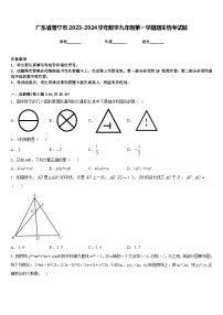 广东省普宁市2023-2024学年数学九年级第一学期期末统考试题含答案