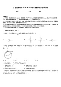 广东省清远市2023-2024学年九上数学期末统考试题含答案