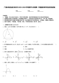 广西壮族自治区来宾市2023-2024学年数学九年级第一学期期末教学质量检测试题含答案