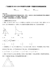 广东省阳江市2023-2024学年数学九年级第一学期期末质量跟踪监视试题含答案