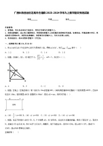 广西壮族自治区北海市合浦县2023-2024学年九上数学期末预测试题含答案