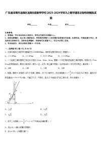 广东省深圳市龙岗区龙岗街道新梓学校2023-2024学年九上数学期末达标检测模拟试题含答案