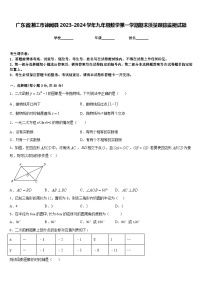 广东省湛江市徐闻县2023-2024学年九年级数学第一学期期末质量跟踪监视试题含答案