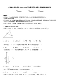 广西崇左市龙州县2023-2024学年数学九年级第一学期期末调研试题含答案