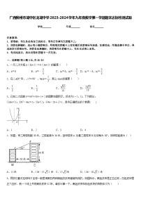 广西柳州市城中区龙城中学2023-2024学年九年级数学第一学期期末达标检测试题含答案