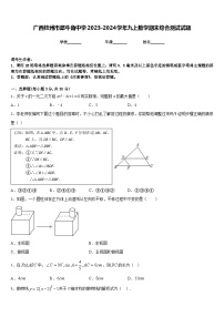 广西钦州市犀牛角中学2023-2024学年九上数学期末综合测试试题含答案