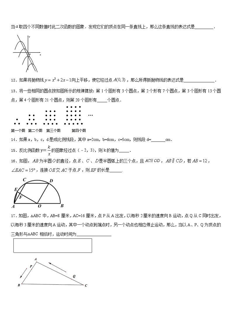 广西田阳县2023-2024学年数学九上期末检测试题含答案03