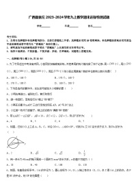 广西省崇左2023-2024学年九上数学期末达标检测试题含答案