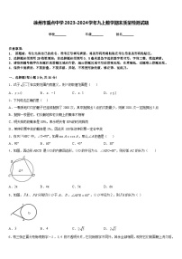 徐州市重点中学2023-2024学年九上数学期末质量检测试题含答案