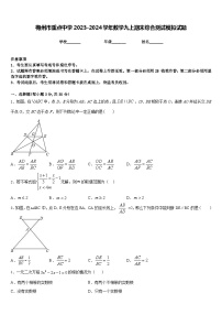 梅州市重点中学2023-2024学年数学九上期末综合测试模拟试题含答案