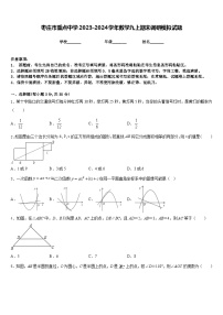 枣庄市重点中学2023-2024学年数学九上期末调研模拟试题含答案