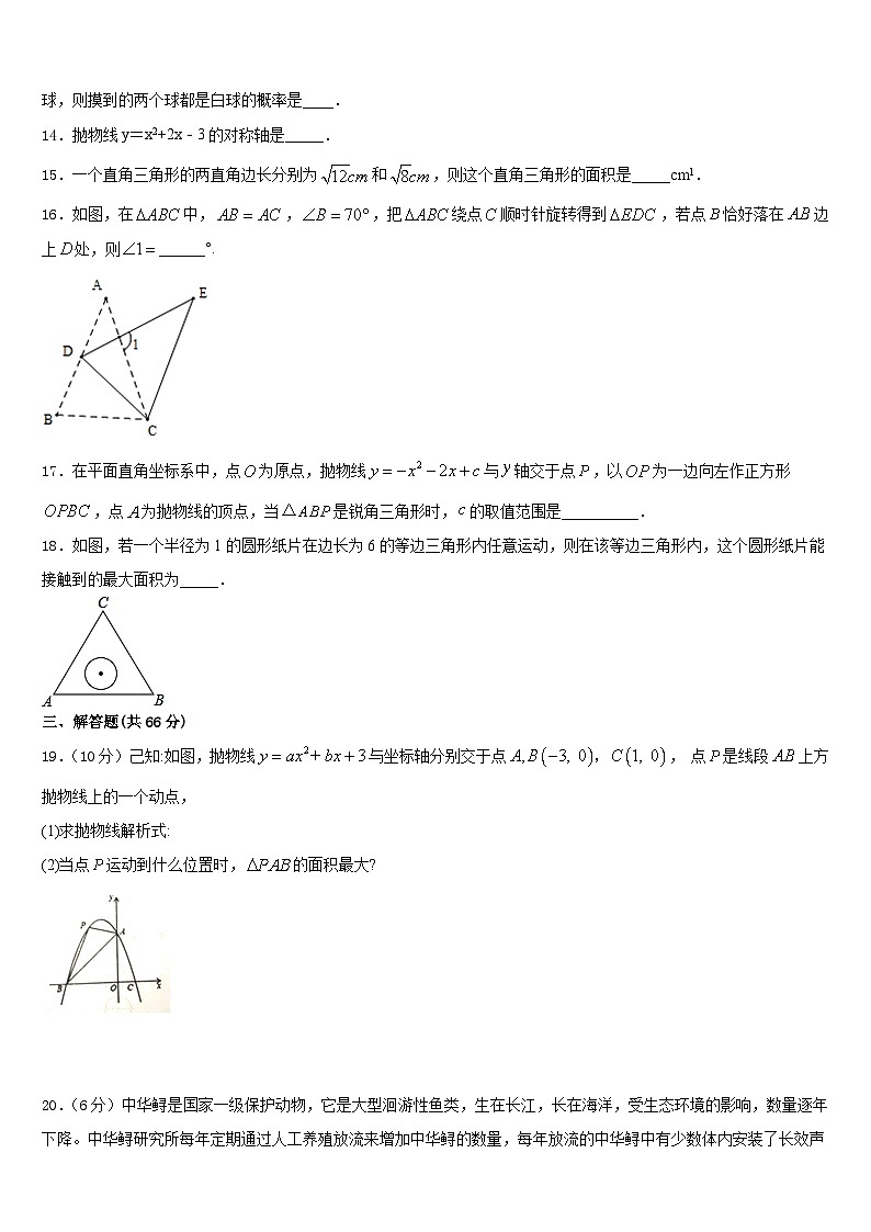 江苏省宿迁市泗阳县2023-2024学年九上数学期末学业质量监测试题含答案第3页
