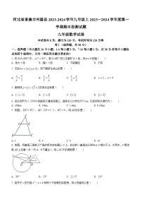 河北省承德市兴隆县2023-2024学年九年级上学期期末数学试题