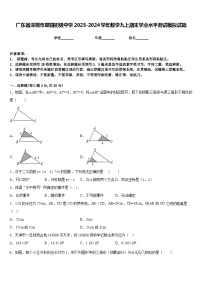 广东省深圳市翠园初级中学2023-2024学年数学九上期末学业水平测试模拟试题含答案