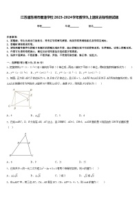 江苏省苏州市星港学校2023-2024学年数学九上期末达标检测试题含答案