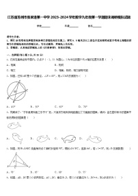 江苏省苏州市张家港第一中学2023-2024学年数学九年级第一学期期末调研模拟试题含答案