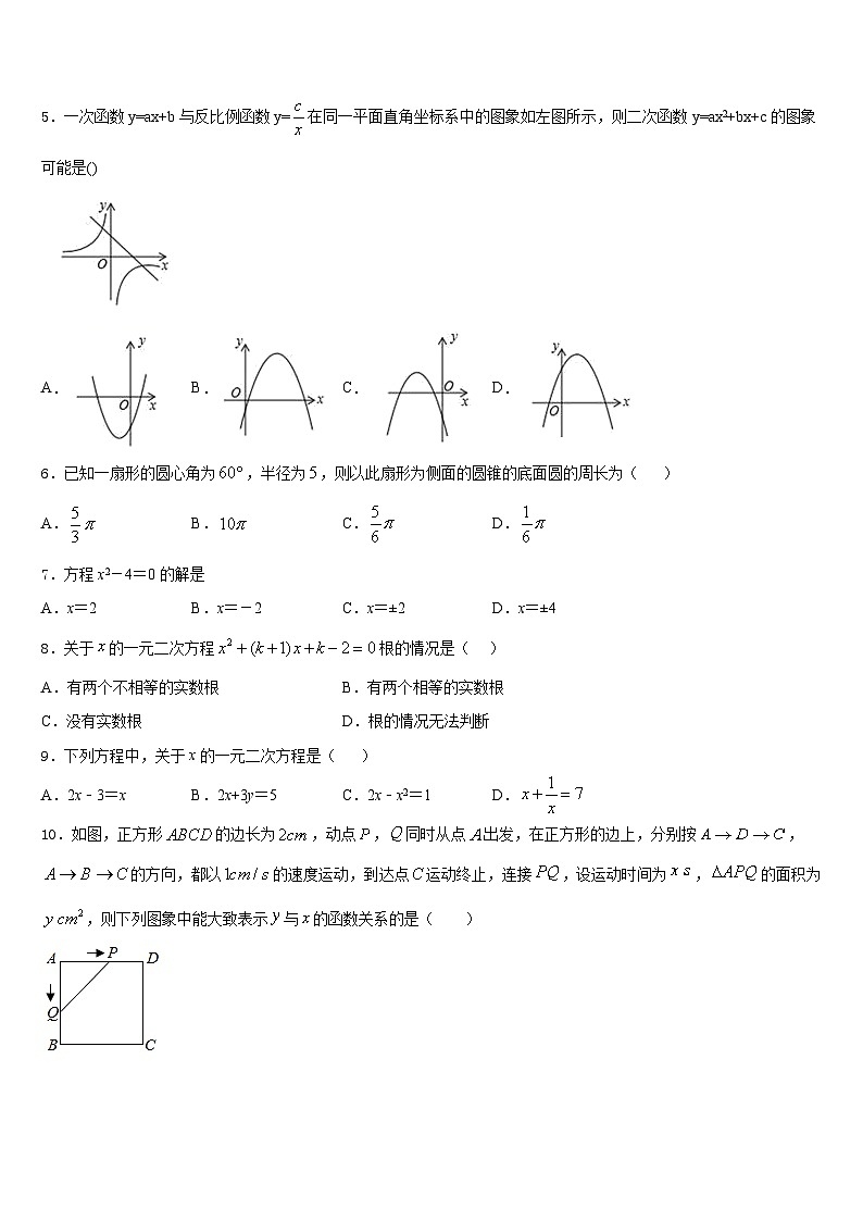 江苏省盐城市大丰区新丰初级中学2023-2024学年数学九上期末联考试题含答案第2页