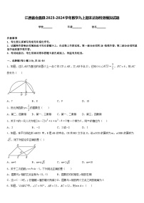 江西省会昌县2023-2024学年数学九上期末达标检测模拟试题含答案