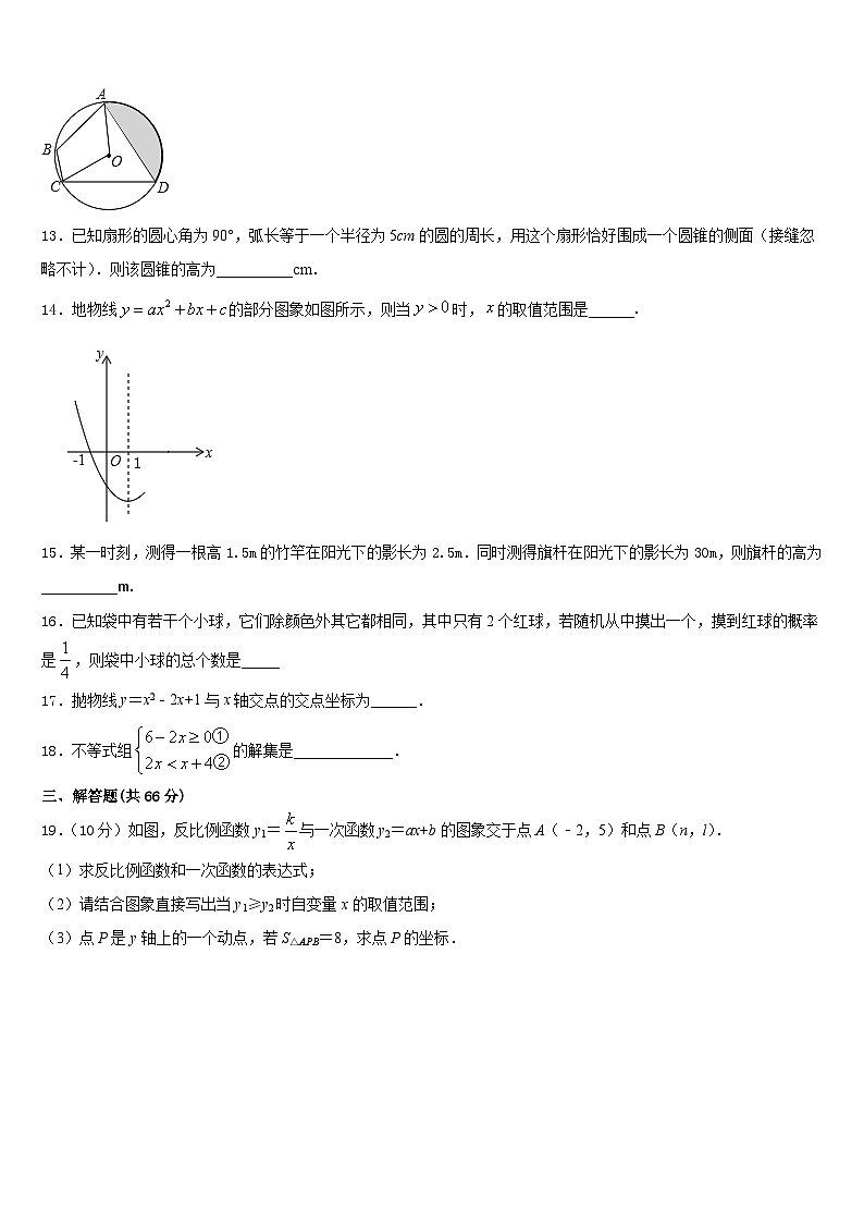 江西省吉安市遂州县2023-2024学年数学九年级第一学期期末复习检测模拟试题含答案03